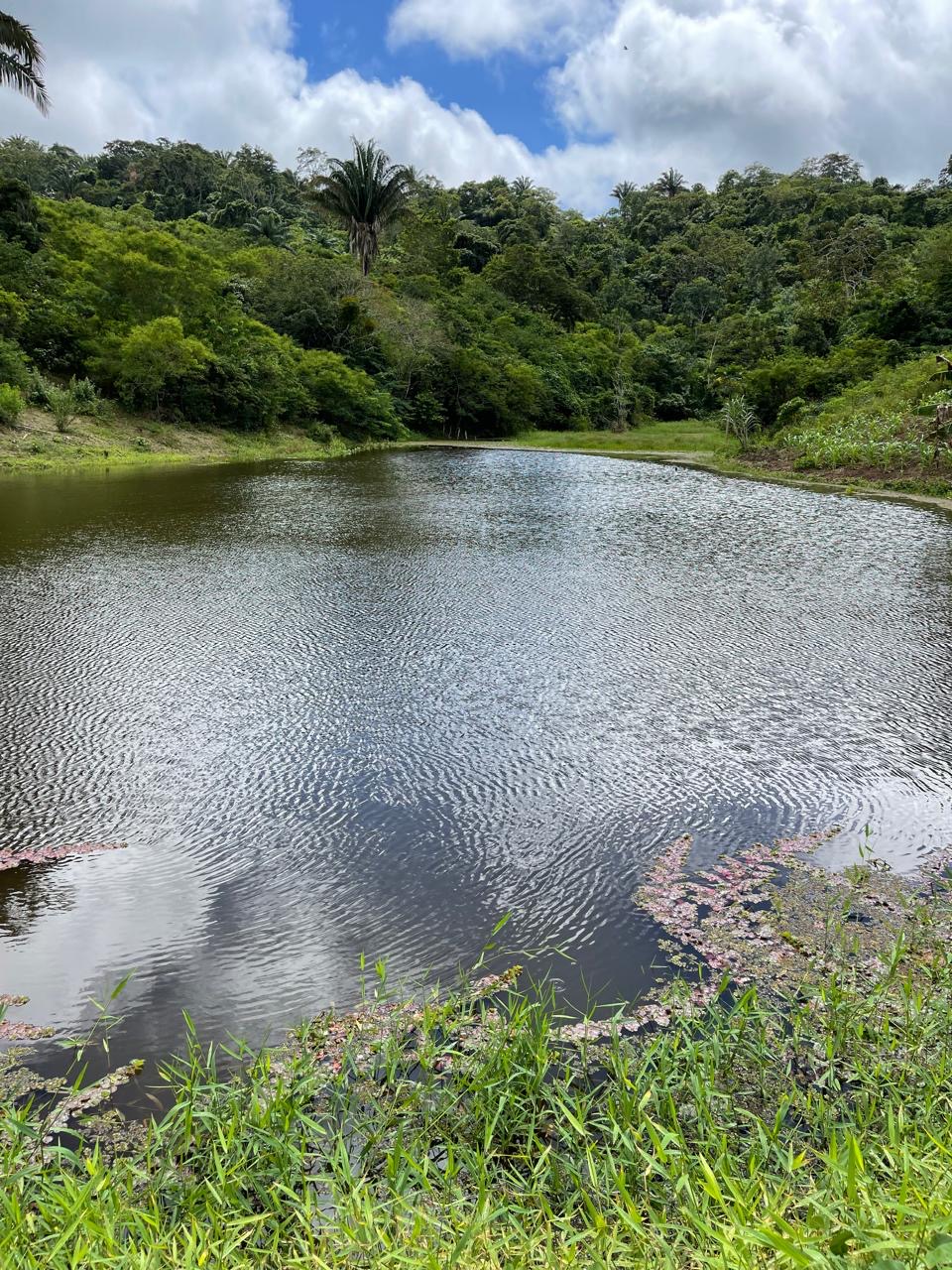 Propriedade em Serraria 9,5 Hectares próximo a Solânea e Bananeiras